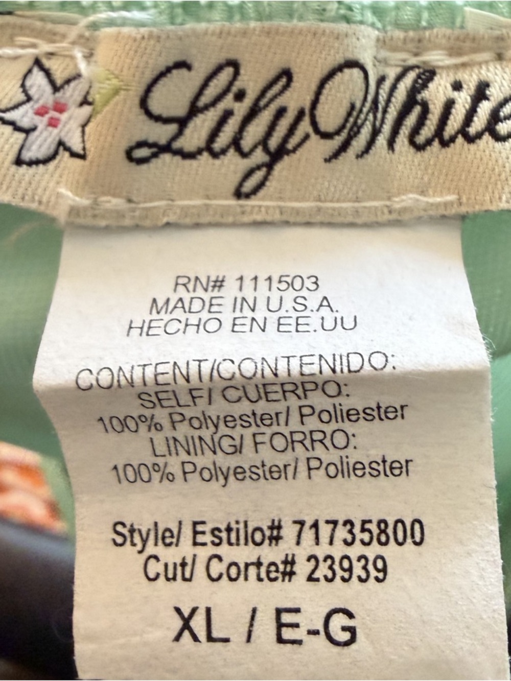 Lily White Mint Sheer Maxi Skirt - Picture 4 of 4